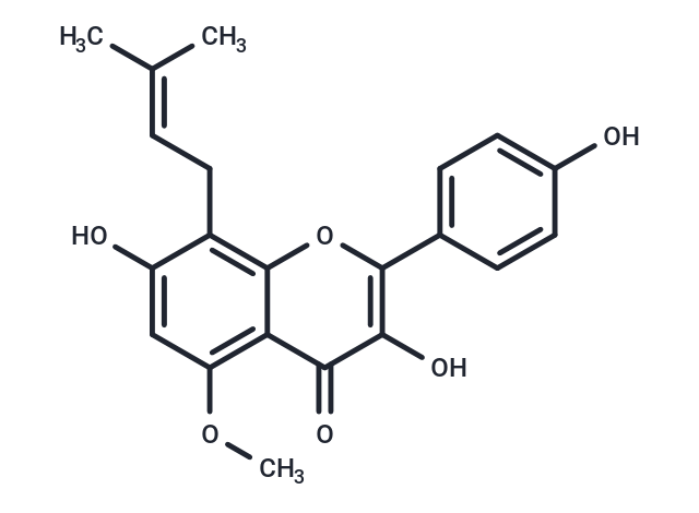 Sophoflavescenol