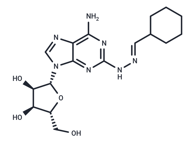 Binodenoson