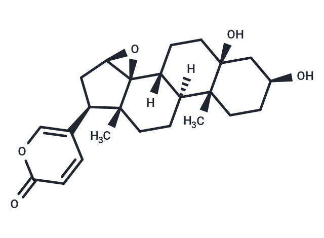 Marinobufogenin