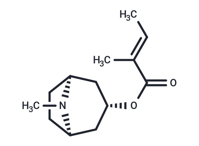 Tigloidin