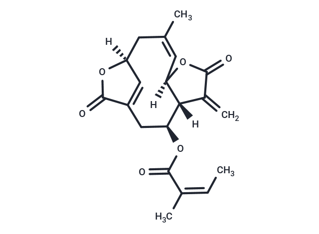 Scabertopin