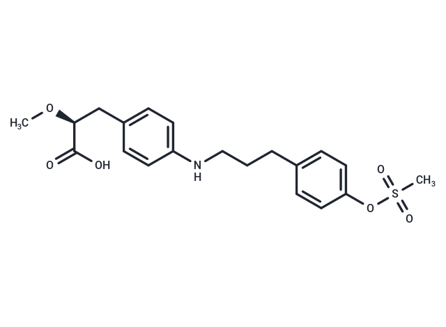 PPAR agonist 1