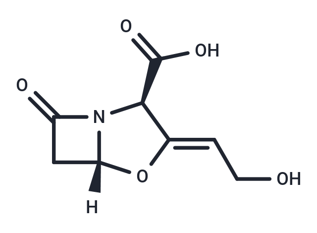 Clavulanic Acid