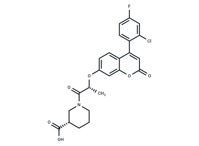 IMT1B