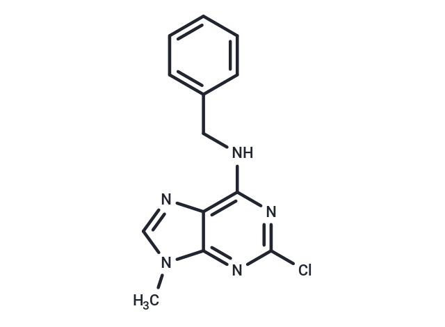 CDK2-IN-13