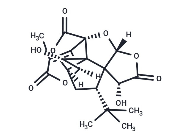 Ginkgolide K