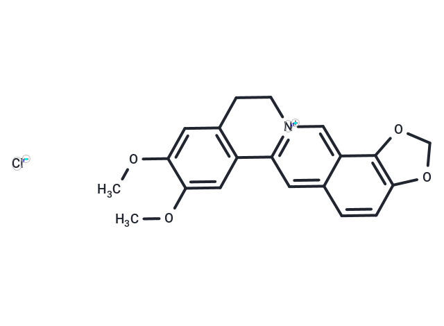 Epiberberine chloride