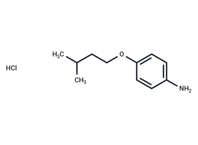 CP-24879 hydrochloride