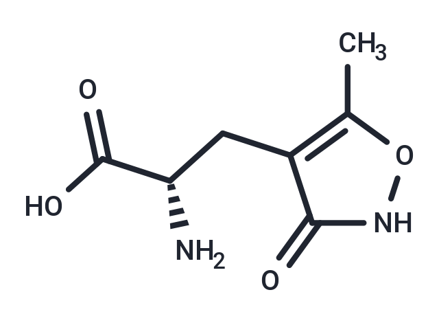 (S)-AMPA