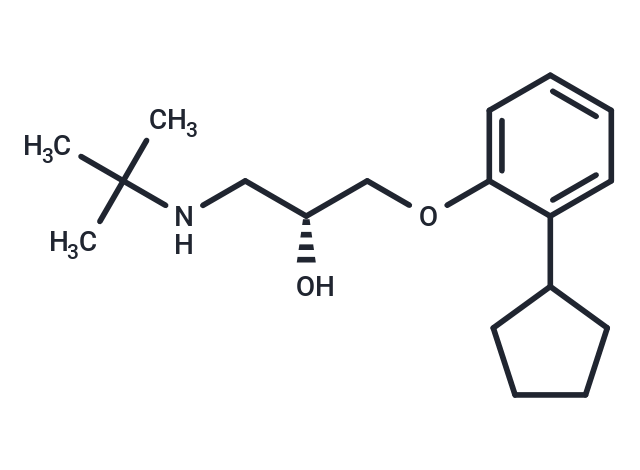 (+)-Penbutolol