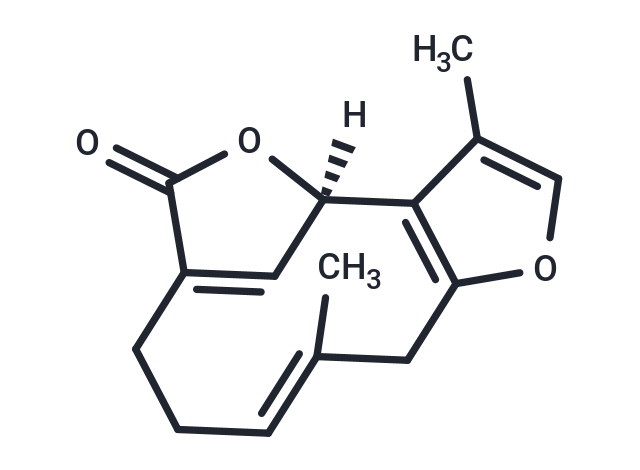 Linderalactone