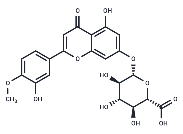 DiosMetin 7-O-β-D-Glucuronide