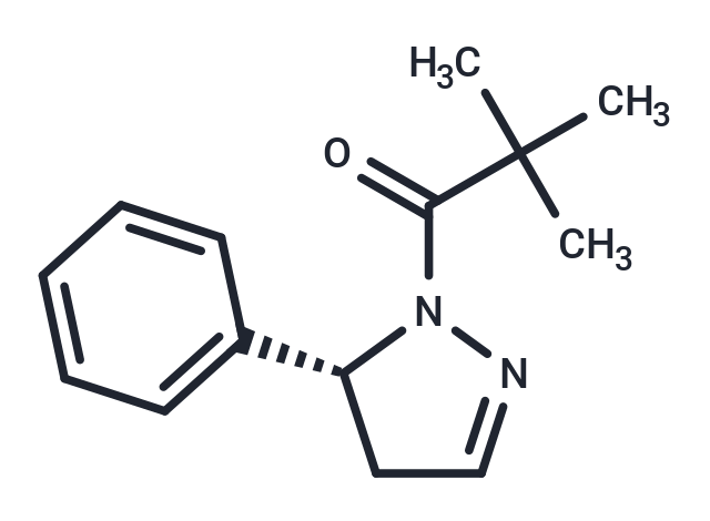 GSK962