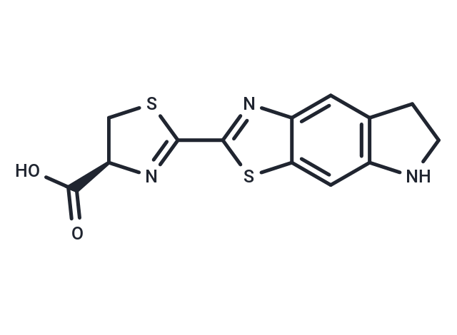 CycLuc1