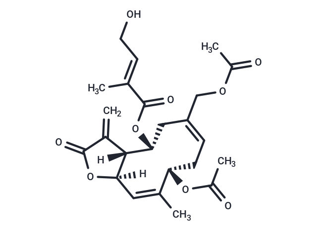 Eupalinolide A