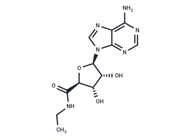 5'-N-Ethylcarboxamidoadenosine