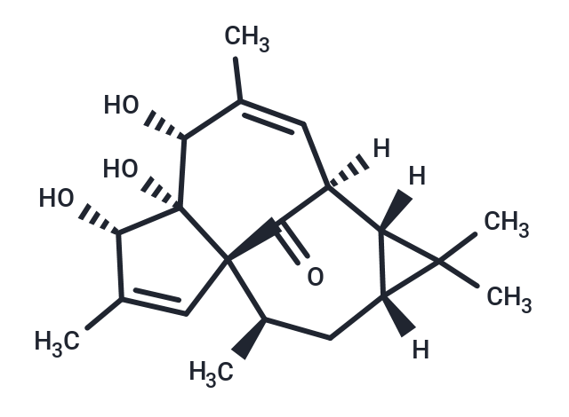 20-DEOXYINGENOL