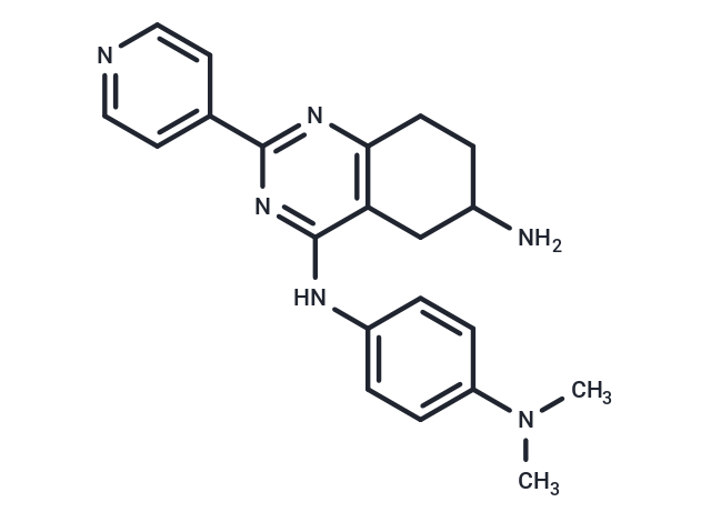 ARN-21934