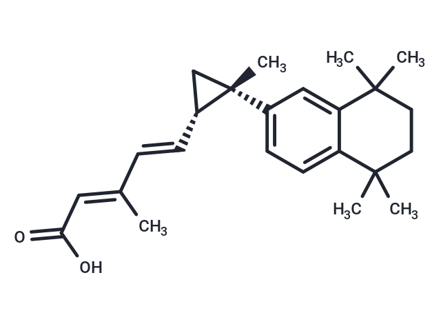 AGN194204