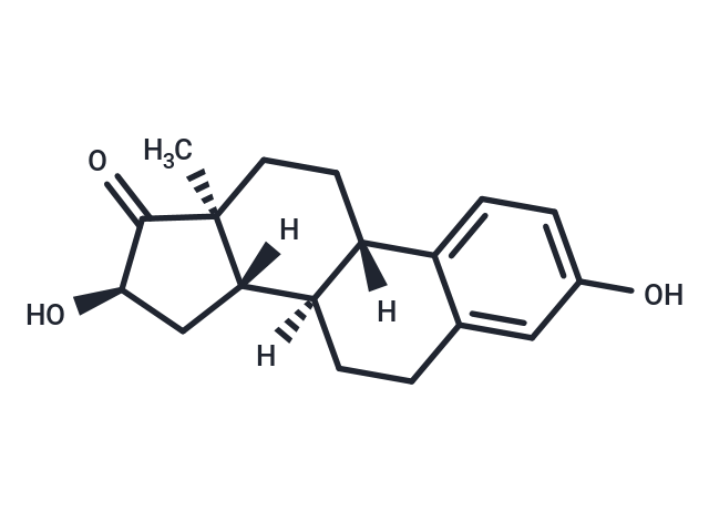 16α-Hydroxyestrone