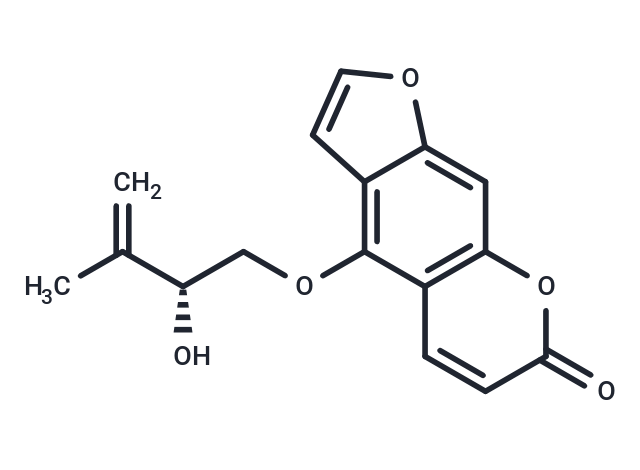 Pangelin