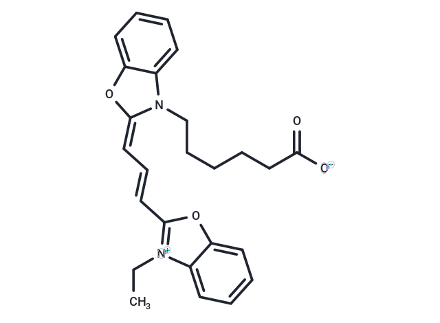 Cy2