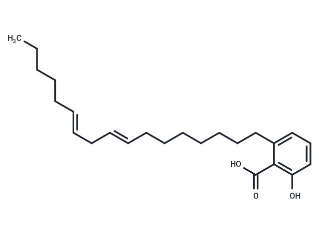 (E/Z)-Ginkgolic acid C17:2