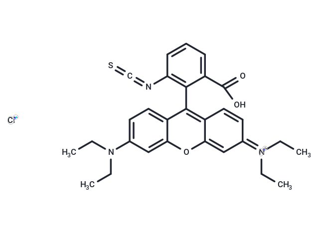 RBITC [Rhodamine B 5-isothiocyanate] [36877-69-7]