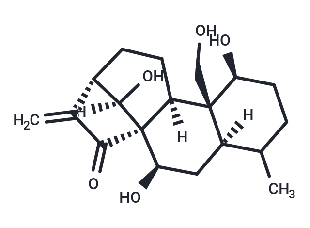 Kamebakaurin