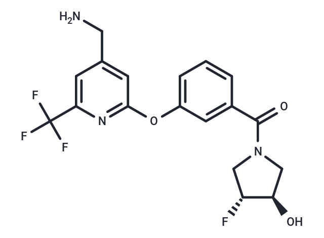 PAT-1251