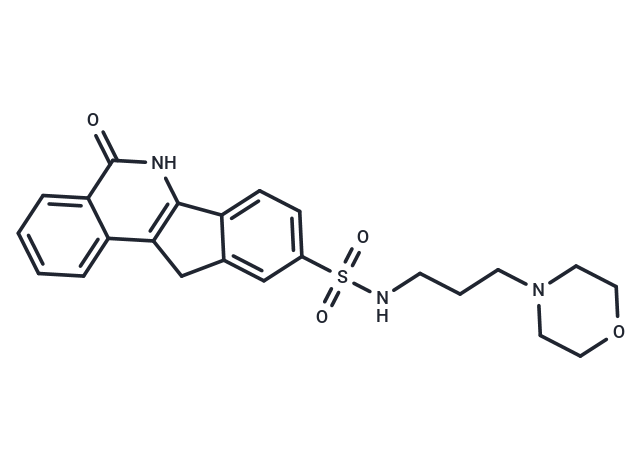 INO-1001