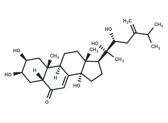 Polyporusterone B