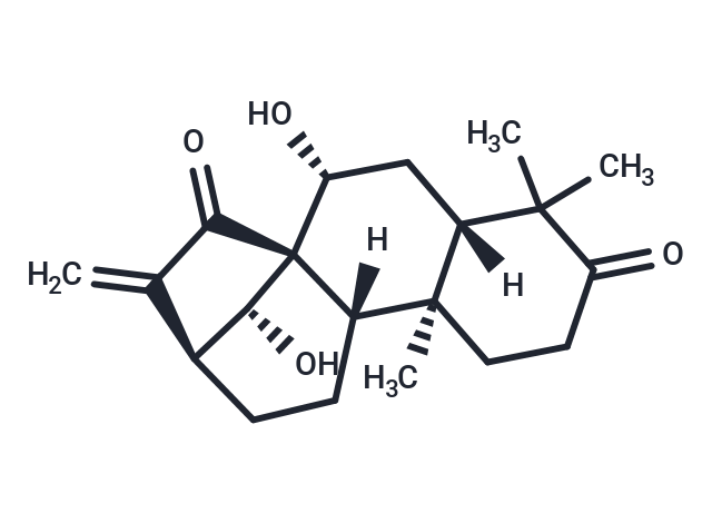 Glaucocalyxin A