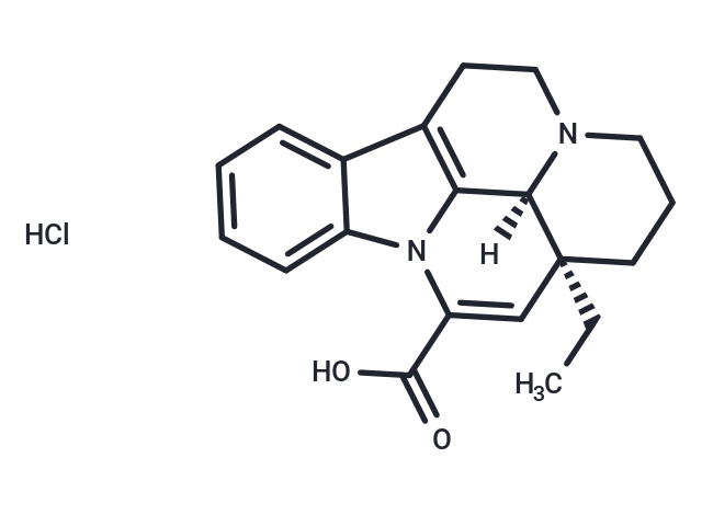 Apovincaminic acid hydrochloride salt