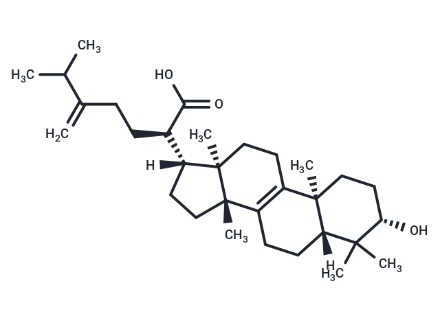 Eburicoic acid