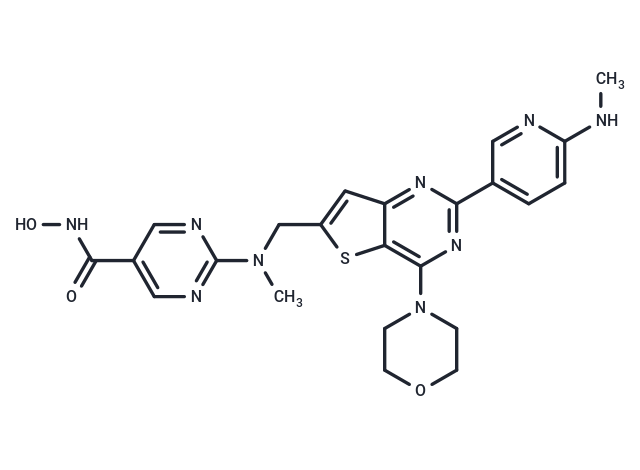 BEBT-908