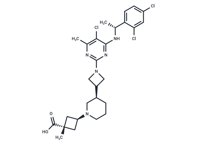 RPT193