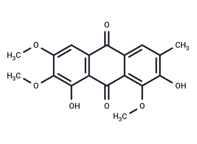 Obtusin