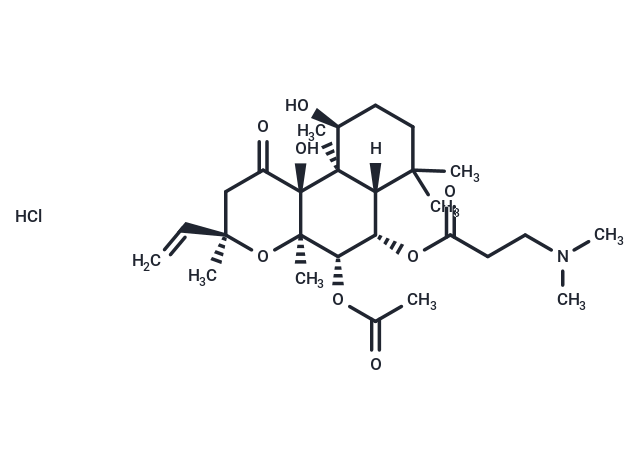 NKH477