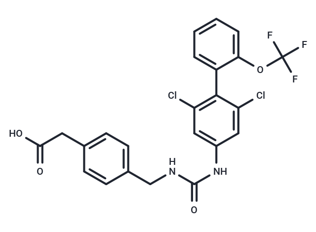 RORγt inverse agonist 13