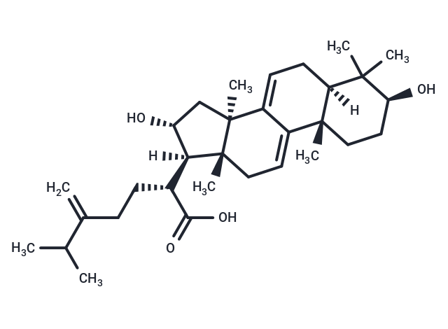 Dehydrotumulosic acid