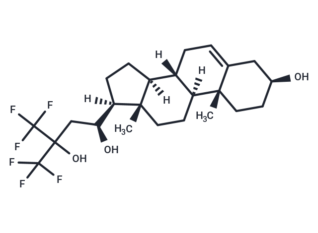 NSC 12