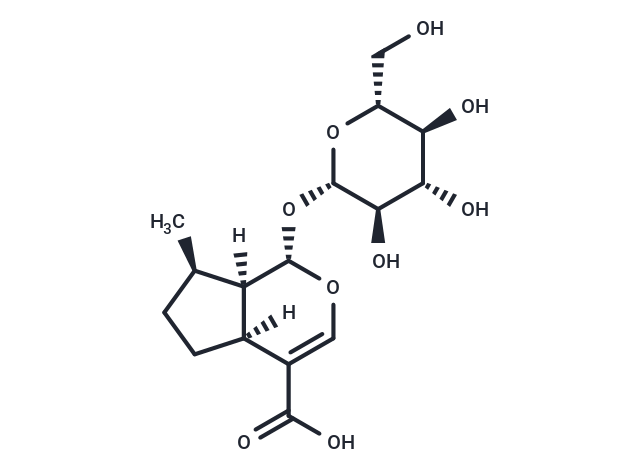 8-Epideoxyloganic acid