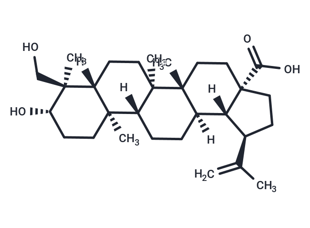 23-Hydroxybetulinic acid