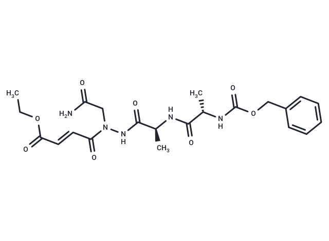 RR-11a analog