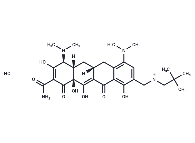 Omadacycline HCl