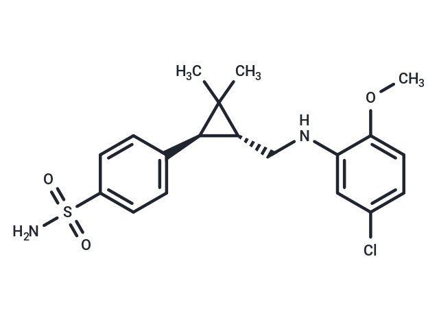 BNC375