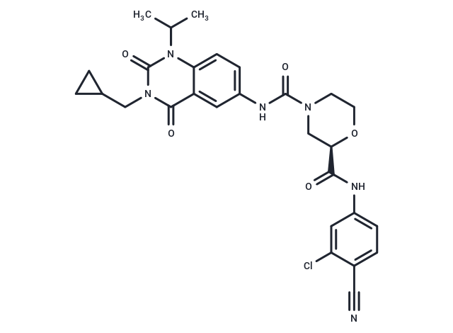 RORγt Inverse agonist 6