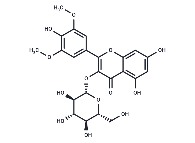 Syringetin-3-O-glucoside