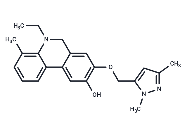 Wnt/β-catenin agonist 1